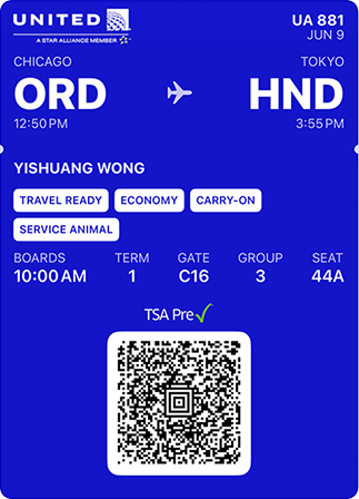 Boarding pass example